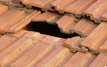 roof repair Lochend